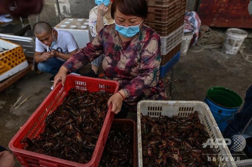 封鎖解除も戻らぬ客足、生き残りに不安 中国・武漢の生鮮市場