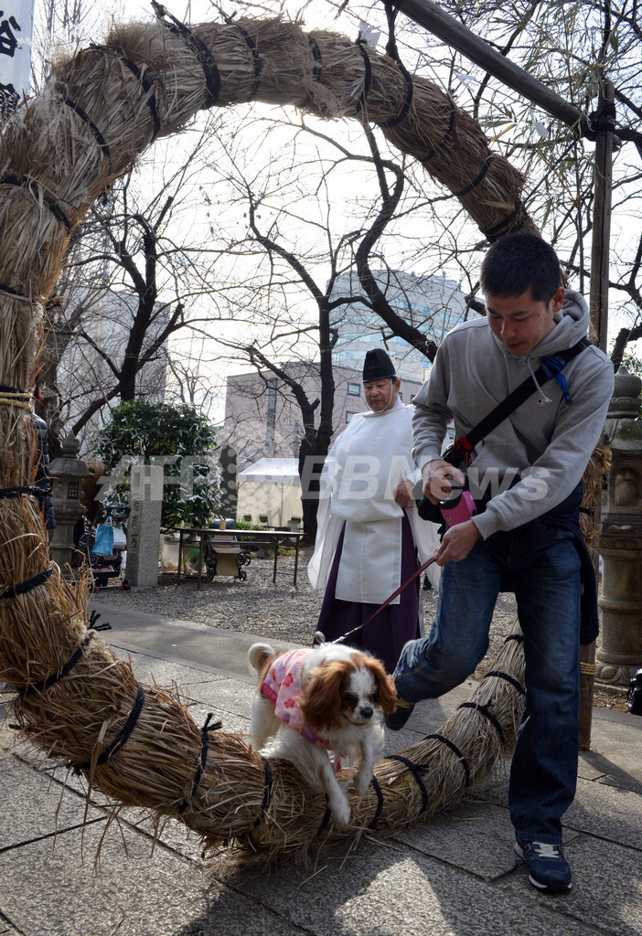 ペットも幸運祈願、都内神社に初詣