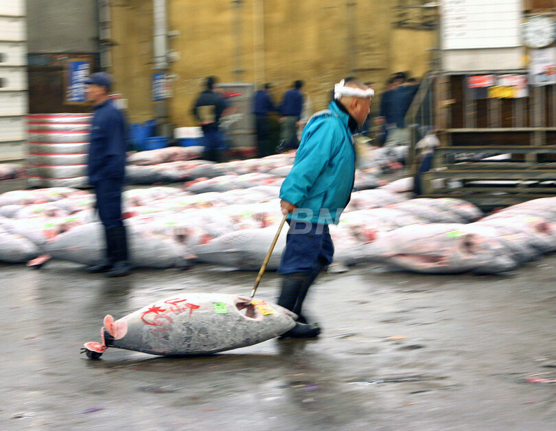 神戸で初の「マグロ保全」国際会合 - 兵庫