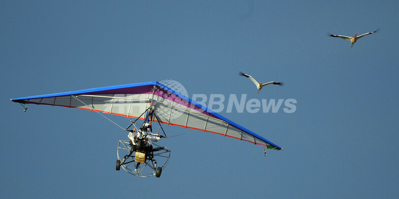 プーチン大統領のツル誘導飛行、大失敗に終わる