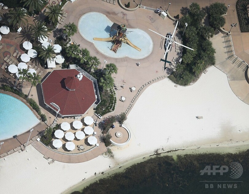 ワニに襲われた2歳児、遺体で発見 米ディズニー旅行が一転悲劇に