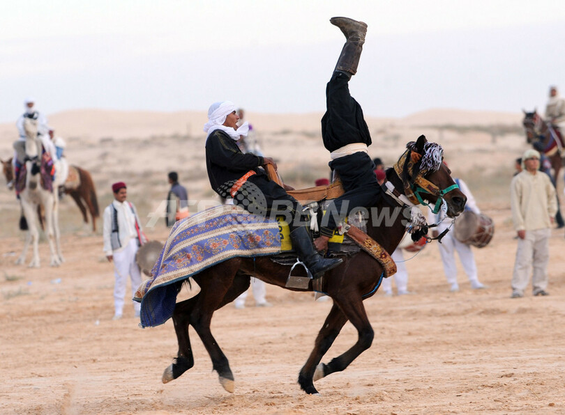 馬やラクダが伝統芸を披露、「サハラ国際フェスティバル」