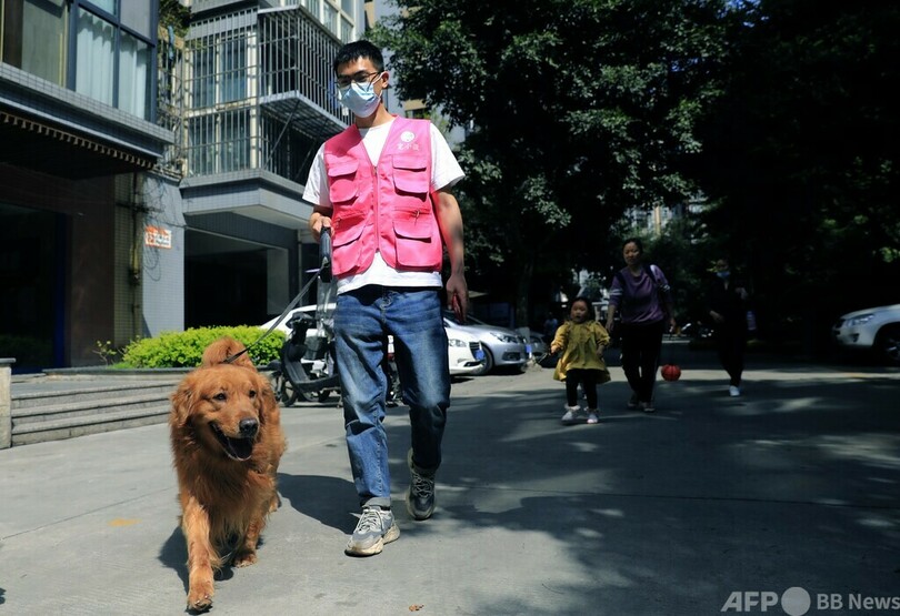 中国で増える「ペットケア師」 ペット好きの若者が副業で飼い主の代行サービス