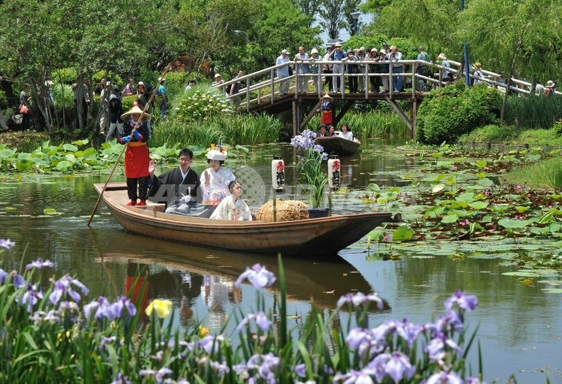 咲き誇るあやめも祝福、「嫁入り舟」で門出 千葉