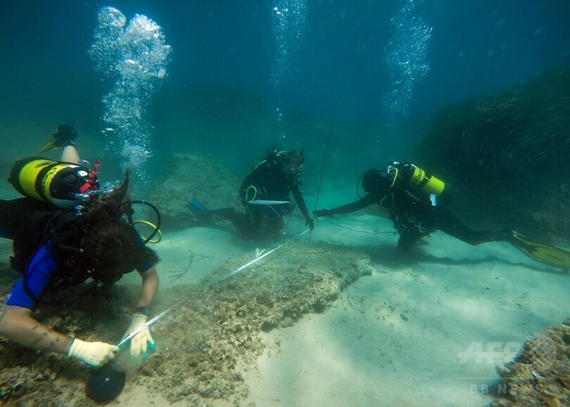 「津波で沈んだ」古代ローマ都市遺跡、チュニジア沖で発見