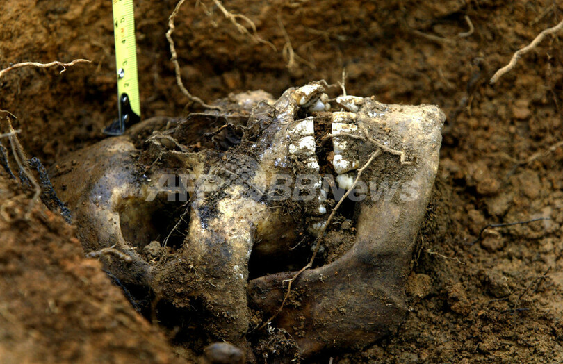 コロンビアで55遺体発見、極右団体の処刑犠牲者か