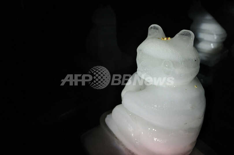 「アースアワー」にパンダも協力