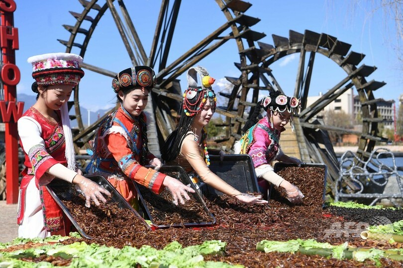 イナゴやヤゴの珍味、無料で味見 雲南・麗江の昆虫宴 