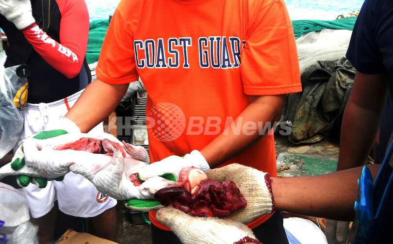 フィリピンのサンゴ礁で中国船が座礁、実はセンザンコウ密輸船