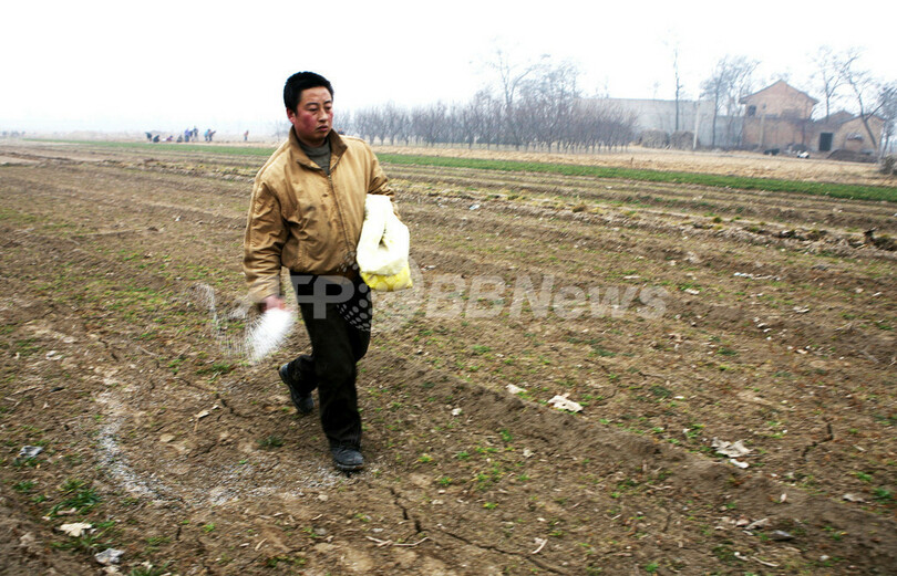 中国、干ばつ深刻化 小麦産地を直撃