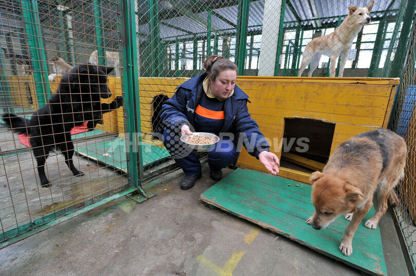 ベラルーシのアニマルシェルターを訪ねる人びと