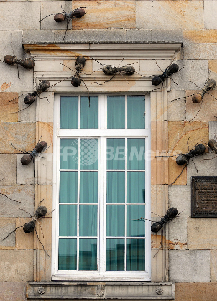 コロンビアの国会議事堂にアリの大群？