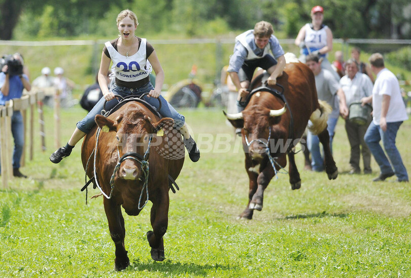 牛だって速いぞ！競馬ならぬ「競牛」、ドイツで開催