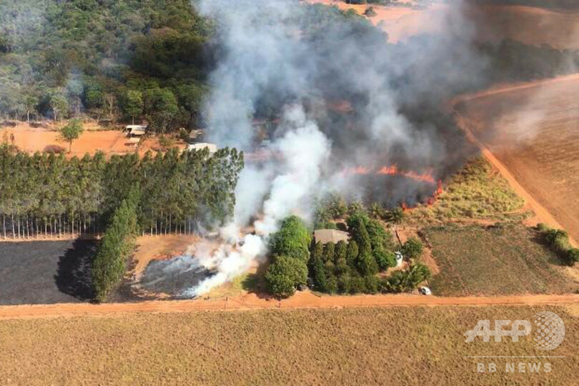 ブラジル・パンタナル湿原の火災件数、7月は観測史上最多