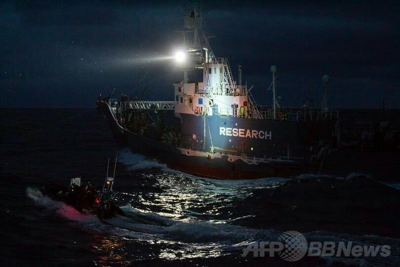 シー・シェパード、捕鯨船から「夜襲受けた」と主張