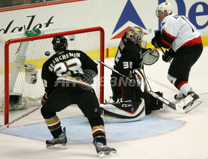 チーム創設14年目のダックス スタンレー杯初制覇