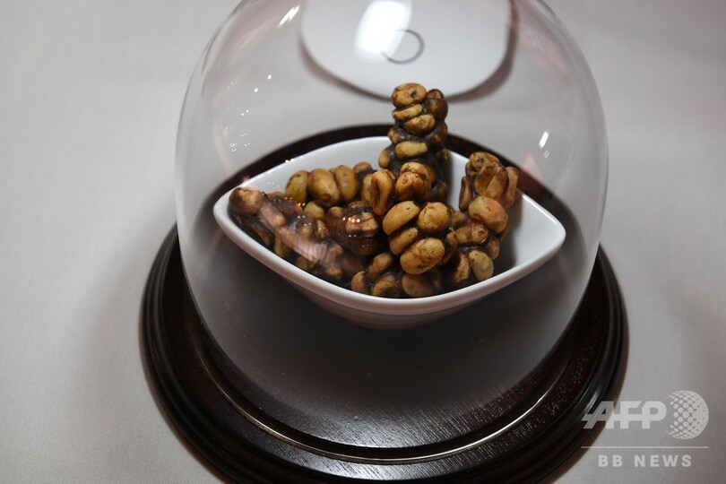 今度はロサンゼルスに「気持ち悪い食べ物博物館」 スウェーデンに続き2か所目