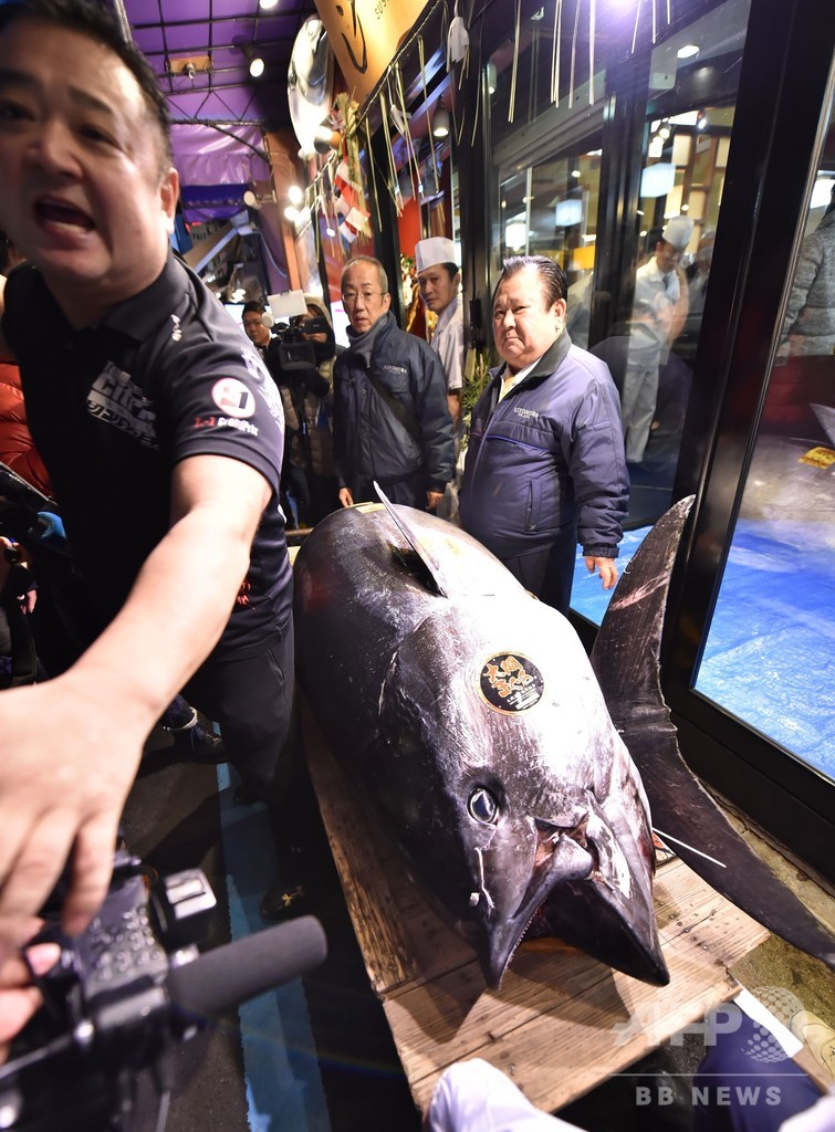 クロマグロに過去最高3億円超、豊洲市場で新年初競り