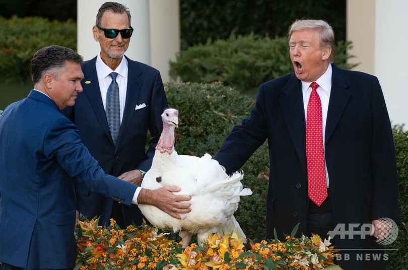 トランプ氏、七面鳥「恩赦」行事で弾劾ジョーク