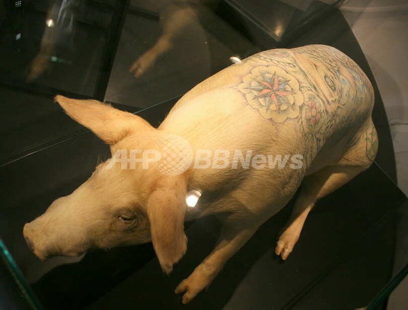 シャネルの「モバイルアート」が東京に上陸、7月4日まで