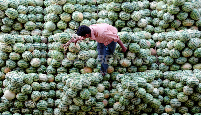 食糧大国インドに忍び寄る物価高騰の危機