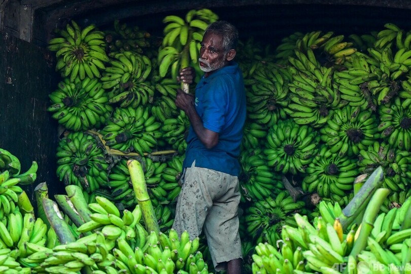【今日の1枚】スイカの甘さが見える？ スリランカ