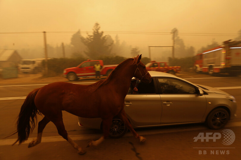 チリ中部の山火事拡大、消火中に10人死亡 4000人避難