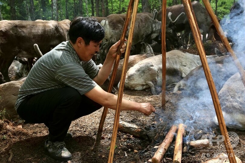 トナカイの里—内モンゴル・エベンキ民族郷で暮らす人々