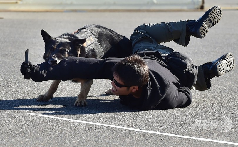 東京五輪 パラ組織委 本番想定し警視庁と合同訓練 写真9枚 国際ニュース Afpbb News 東京五輪 パラ組織委 本番想定し警視庁と合同訓練 写真9枚 国際ニュース Afpbb News