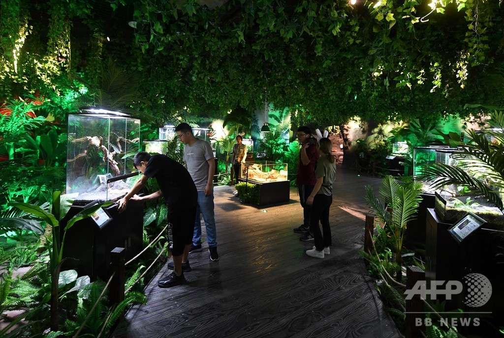 展示のカメに硬貨投げて幸せに? 水族館に批判集まる 浙江省 展示のカメに硬貨投げて幸せに? 水族館に批判集まる 浙江省