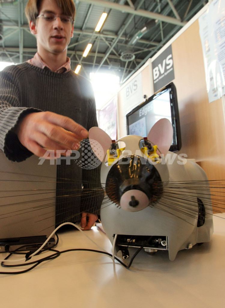 自力で生き続けるロボットの実現まであと一歩 ネズミ型ロボットが完成 写真1枚 国際ニュース Afpbb News
