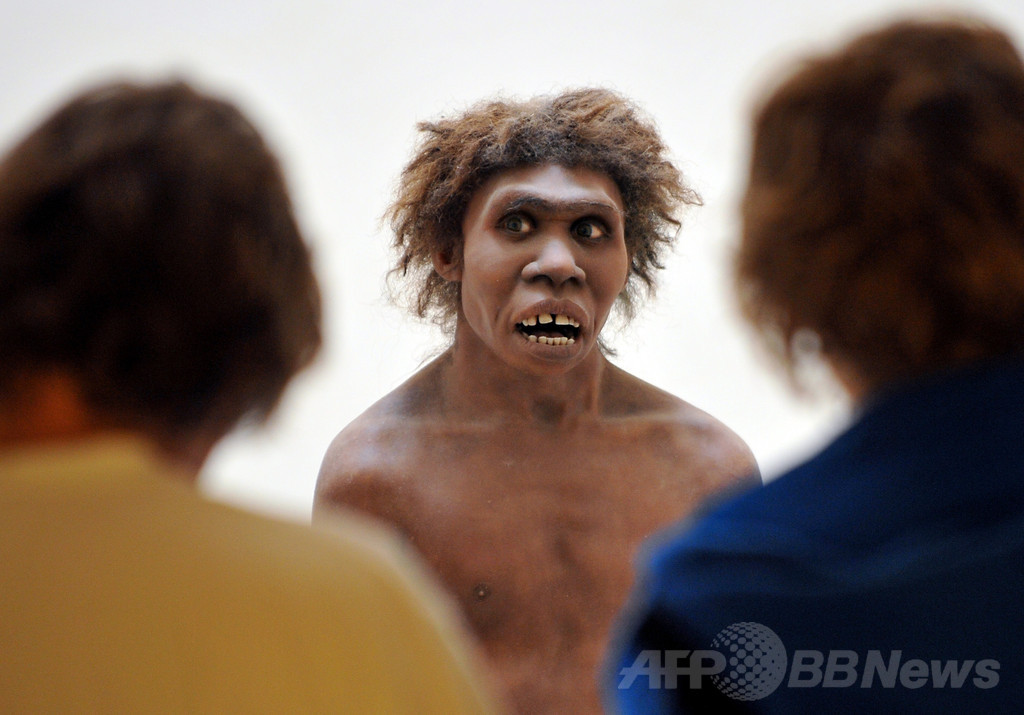 中南米人の高い糖尿病リスク、旧人由来の遺伝子変異が原因か 中南米人の高い糖尿病リスク、旧人由来の遺伝子変異が原因か