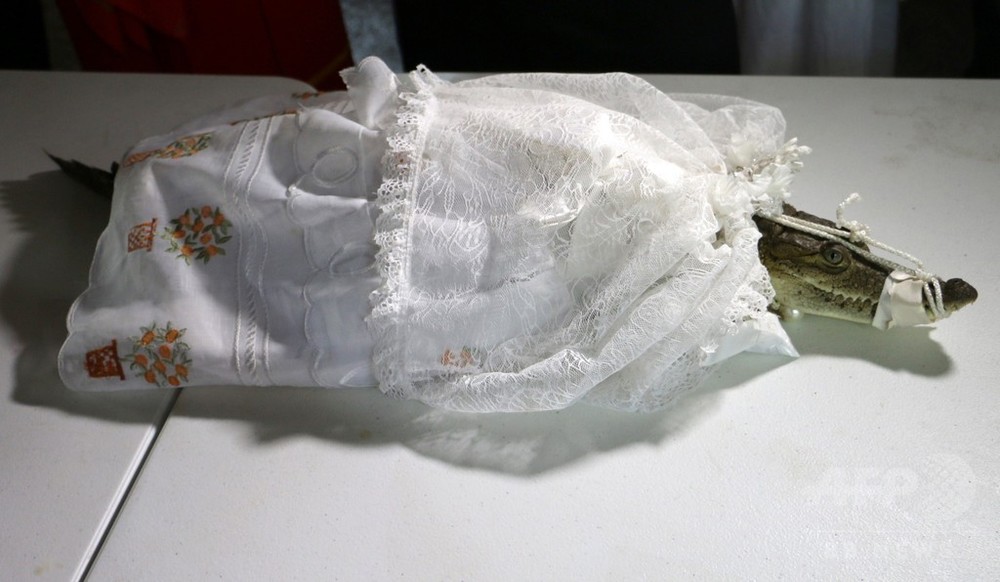 花嫁はワニ!?豊漁祈願の伝統儀式 メキシコ 写真8枚 国際ニュース