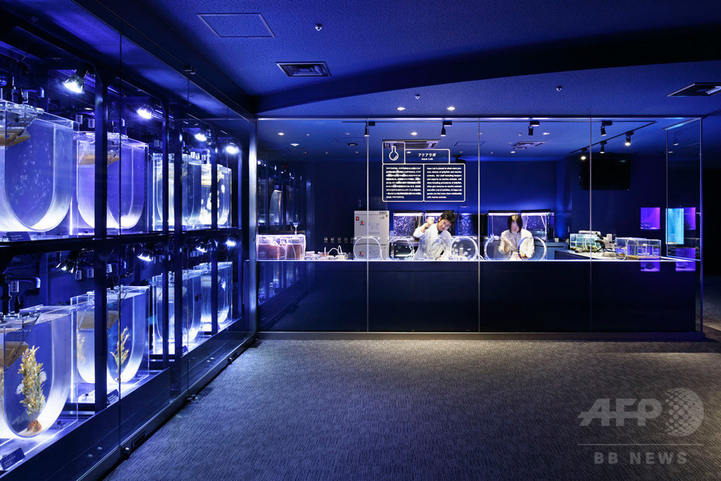 「すみだ水族館」蜷川実花とクラゲの幻想的なコラボレーション