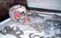 ロシアのエカテリンブルクで発見された帝政ロシア最後の皇帝ニコライ2世のものとされる遺骨（1998年1月27日撮影）。(c)AFP PHOTO / BORIS BACHORZ