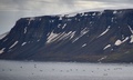 北極海のフランツヨシフ諸島の島（2021年8月16日撮影）。(c)Ekaterina ANISIMOVA / AFP