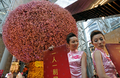 2008年1月30日、旧正月を間近に控えた香港（Hong Kong）のショッピングモールに展示された巨大な桃の木のオブジェ。(c)AFP/PHILIPPE LOPEZ