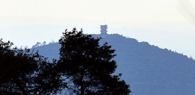 首都周辺で激しい戦闘、遠のく和平への道 シリア