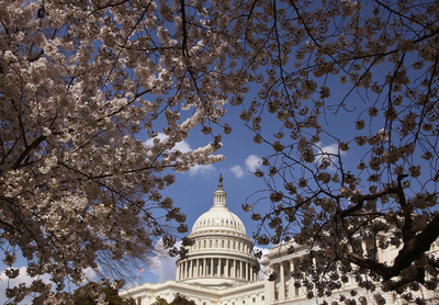 観光シーズンの米首都で男性が自殺