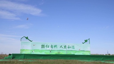 動画:国宝のトキを中国東部沿岸湿地で初めて放鳥 中国・江蘇省
