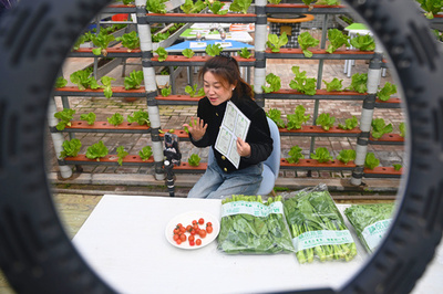 農産物のライブ販売拡大　品質確保が課題に