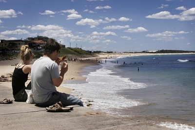 シドニーのプールでサメ発見