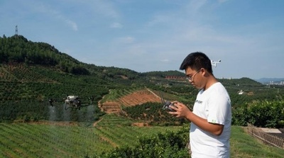 ドローン活用、デジタル選別…スマート農業への道 中国江西