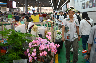 【三里河中国経済観察】雲南、「緑の力」で経済成長を実現
