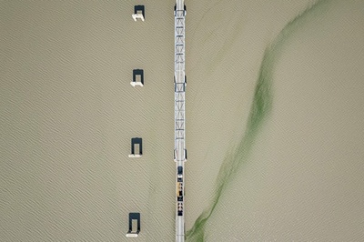 【今日の1枚】水中にたなびく藻 南ア