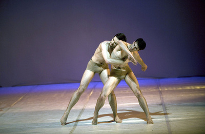 コソボ国立バレエ団が公演、「光が落ちるところ」