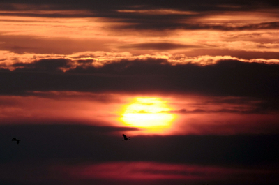 ギリシャの美しい朝焼け