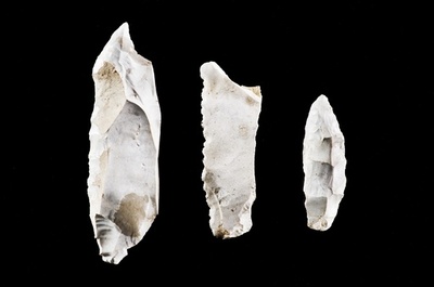 新石器時代に残虐な集団暴力行為、独で発見の人骨示唆 研究