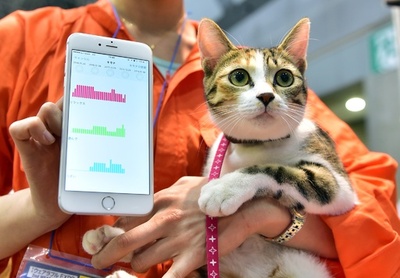 最先端ウェアラブル機器が一堂に、猫の気持ちも解析可能に？東京