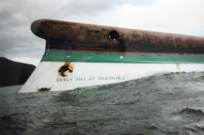 フィリピン沖で沈没の大型フェリー、生存者28人を発見